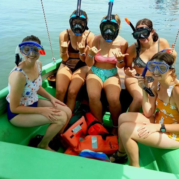 Dolphin and Whale Watching Tour in Golfo Dulce