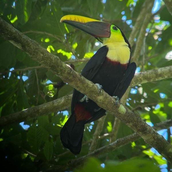 Corcovado National Park – Multi Day Hike Adventure